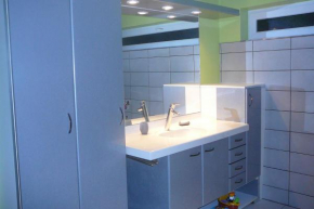 Grand appartement avec terrasse